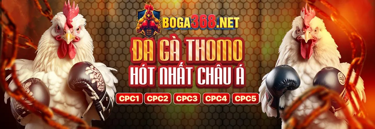 Hướng dẫn tải VT999 Casino cho Android