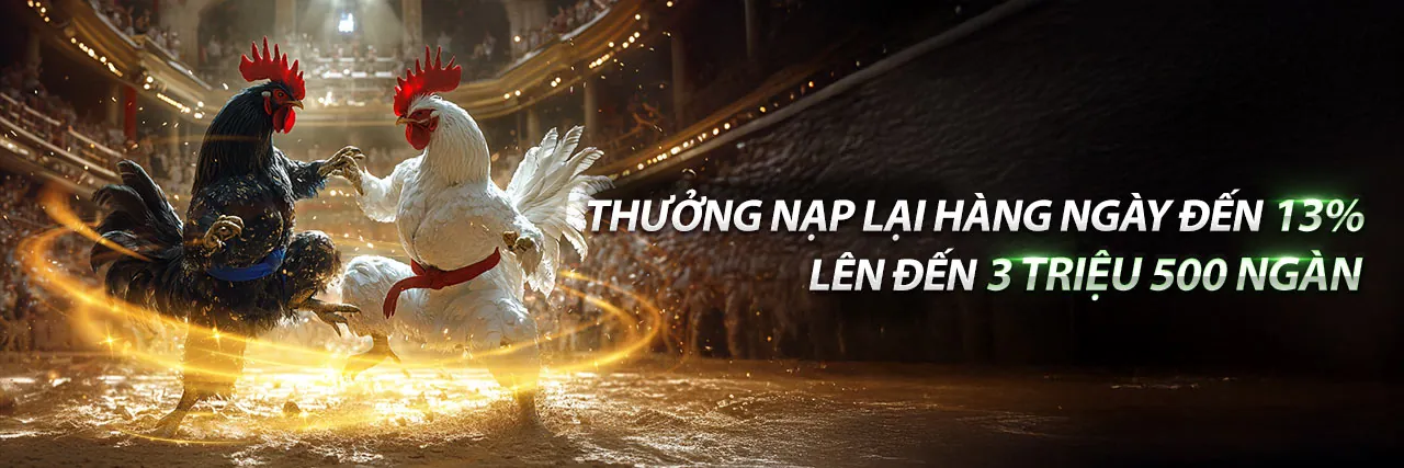 Đá Gà Trực Tuyến vt999 casino