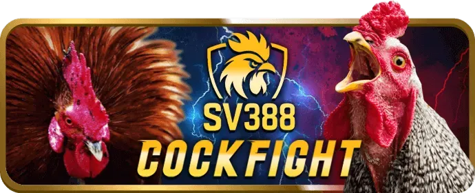 Hình ảnh liên hệ hỗ trợ vt999 casino
